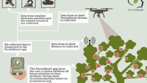 How the Biopesticide and SMART-TECH Industries Create a “Blue Ocean” of Uncontested Crop Protection Market Space (Part 4)