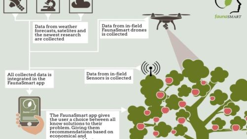 How the Biopesticide and SMART-TECH Industries Create a “Blue Ocean” of Uncontested Crop Protection Market Space (Part 4)