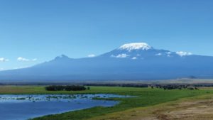 Crop Protection in Africa: BASF Investing in Emerging Markets