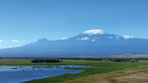 Crop Protection in Africa: BASF Investing in Emerging Markets