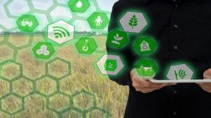 India: Enabling Modern Agriculture Through IoT