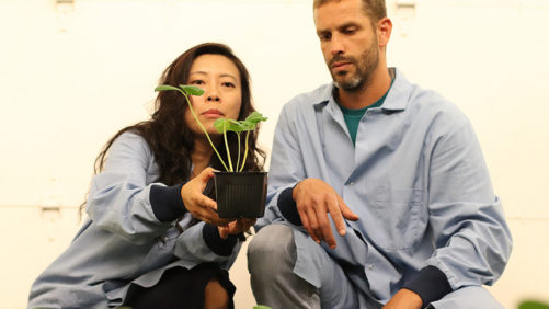 Q&A: Ag Disruptor Crop Enhancement Gets Seven-Figure Investment