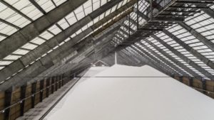 Global Nitrogen Market: 6 Factors to Watch in 2019