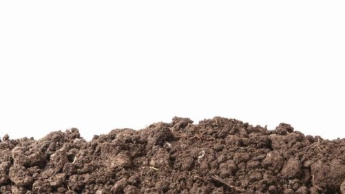 How to Avoid Inflated Biostimulant Expectations
