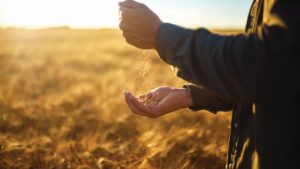 EBIC President: Education Crucial to Growth of Biostimulants Industry