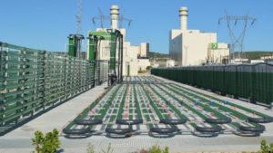 AlgaEnergy Opens Subsidiary in Mexico
