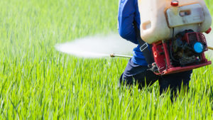 UPL to Launch Rice Insecticide Flupyrimin