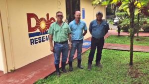 How Costa Rica’s Banana Production Is Under Two Key Threats