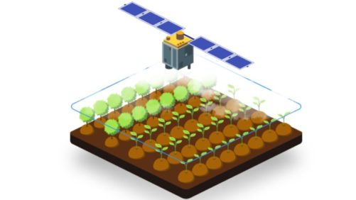 The Future of Satellites in Precision Agriculture