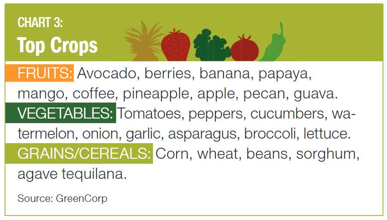 Chart 3 Top Crops in Mexico