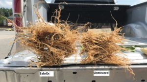 U.S.: How Biologicals Offer Opportunity Amid Tough Year in Agriculture