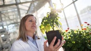 Syngenta, Novozymes Launch Unique Biofungicide in Europe, Latin America