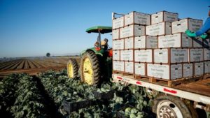 Voice of the American Farmer: Afrontando COVID