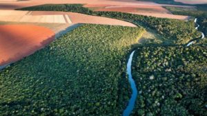 Agriculture’s Resilience Has Been Tested by COVID, Making Fighting Climate Change Even More Vital Than Ever