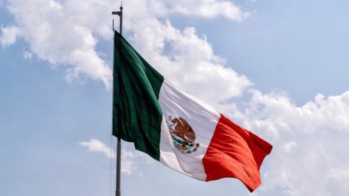 PhycoTerra Approved for Use in Mexico