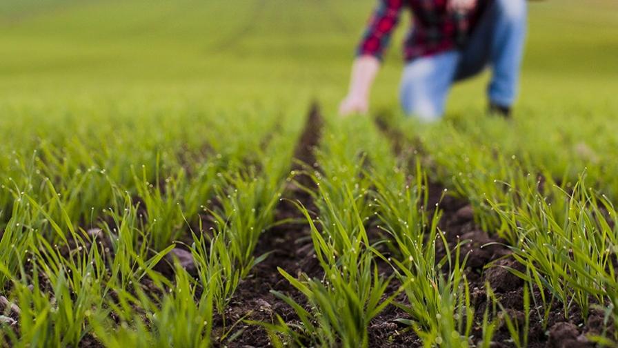 Breaking Biological Barriers: Industry Experts Share Practical Solutions to Boost Grower Adoption