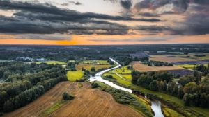 North America Hampered by Weather, Trade, But Planted Area Set to Rise in 2021