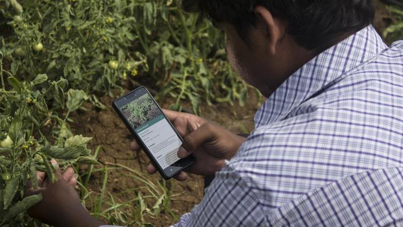 India: Technology Can Solve Many of Agriculture’s Challenges ...