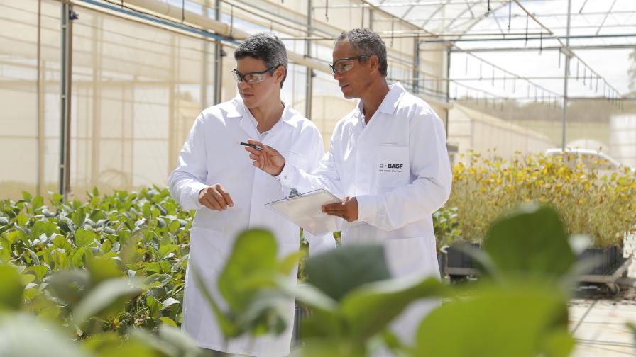 BASF R&D Agricultural Solutions