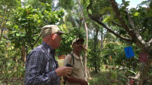 CropCoat Commercialized in Indonesia, Pilots Expand in Coffee, Almonds