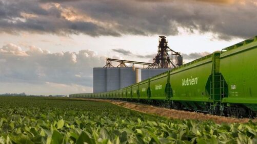 U.S. Agriculture Secretary Hopes Fertilizer Companies Will Not Take Advantage of Ukraine Crisis