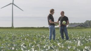 Corteva Agriscience, Bejo Sign Agreement on Genome Editing