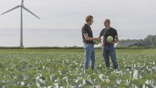 Corteva Agriscience, Bejo Sign Agreement on Genome Editing