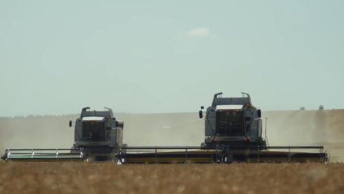 Russian Agrochemicals Market to Show World’s Highest Growth Rates This Year