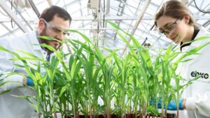 Syngenta Partners with Enko to Accelerate Molecule Discovery