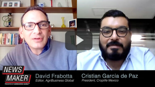 Mexico Court Upholds Presidential Decree to Ban Glyphosate, GMOs 