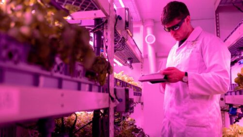 Top 10 Promising Agritech Startup Companies in India in 2021