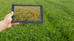 Eurofins Agroscience Services Identified As Service Partner by Bpifrance