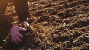 France Pitches Its Carbon Farming System as Model for EU
