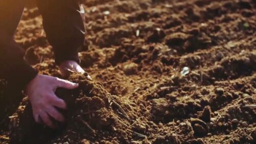 Biome Makers Announces Updates to BeCrop Biological Soil Analysis