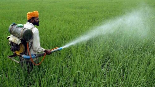 CropLife India Report: INR 2 lakh Crores of Annual Yield Loss Due to Pests in India