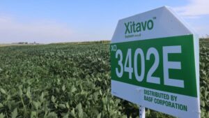 U.S.: Xitavo Soybean Seed Ranks Highly in 2023 Yield Trials