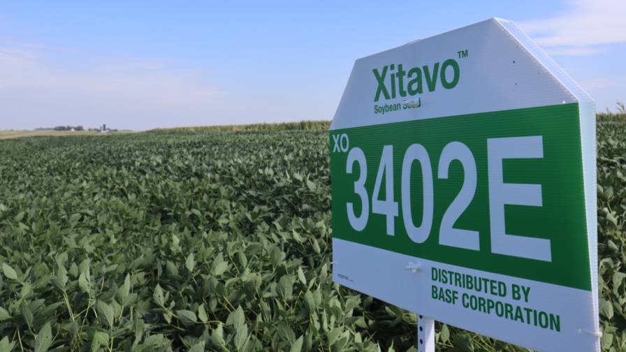 U.S. Xitavo Soybean Seed Ranks Highly in 2023 Yield Trials AgriBusiness Global