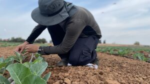 Agmatix Tackles Data Standardization with Innovative Platform