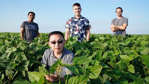 Detecting the Disease Resistance of a Plant When It is Only a Seed