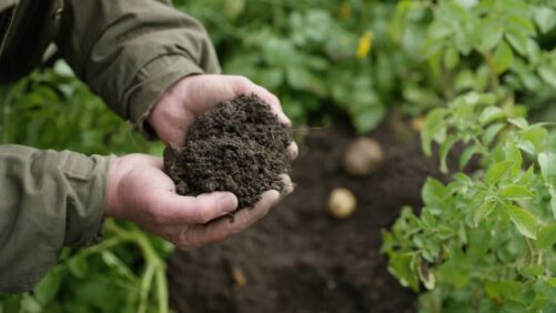 BASF Agricultural Solutions to Launch Global Carbon Farming Program