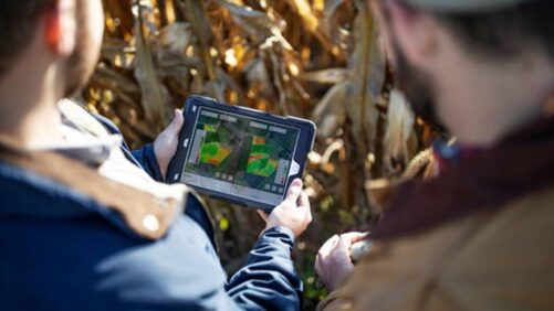 Bayer to Launch Project Carbonview for Agriculture