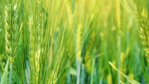 EOS Data Analytics Partners With Epik Systems