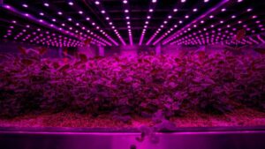 Future Crops Brings Vertical Farming Closer to the Land