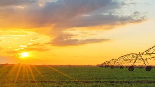 Agriculture’s Connected Future: How Technology Can Yield New Growth