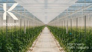 Koppert Partners With Amoéba to Launch Innovative Biofungicide Solution