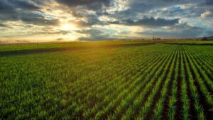 7 Key Forces Driving the Global Crop Inputs Industry in 2022