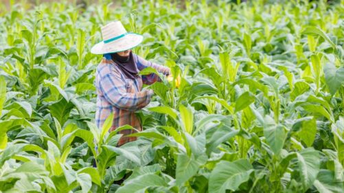 Doing Business in SE Asia