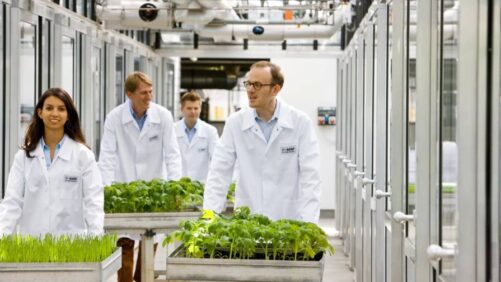 BASF to Globally Launch Open Innovation Platform AgroStart to Inspire New Digital Solutions for Agriculture