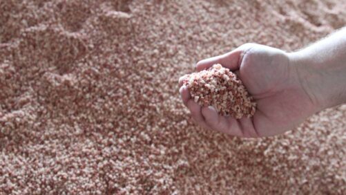 USDA investe $250 milhões para apoiar fertilizantes de fabricação americana para dar mais opções aos agricultores dos EUA