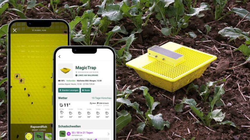 Smart Insect Traps Bayer AG's Smart Insect Traps Use 1NCE Services to Protect Canola Crops ...
